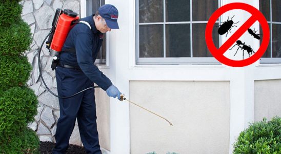 Başyayla Fare İlaçlama böcek ilaçlama ve haşere kontrolü — ilaclama-tr.com